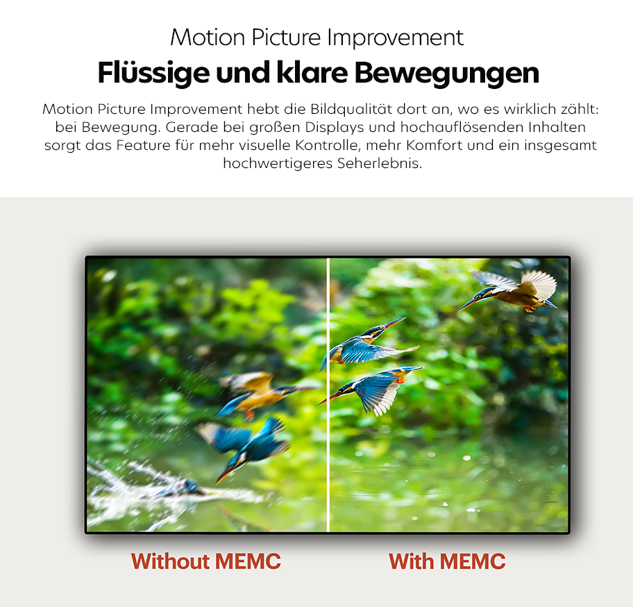 Feature Banner, Vergleich eines Vogelflugs auf einem Grundig-Fernseher, links unscharf mit Bewegungsunschärfe (ohne MEMC), rechts scharf und klar (mit MEMC).