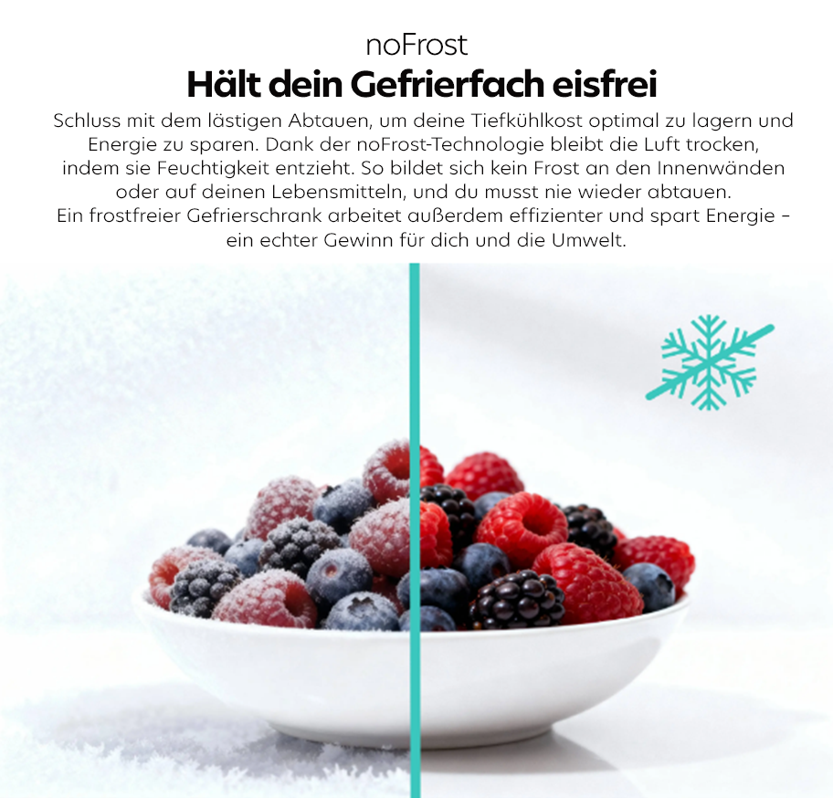 Feature-Banner, Schale mit gefrorenen Beeren links und frischen Beeren rechts, darüber Text zur noFrost-Technologie von Siemens, die Gefrierfach eisfrei hält.'